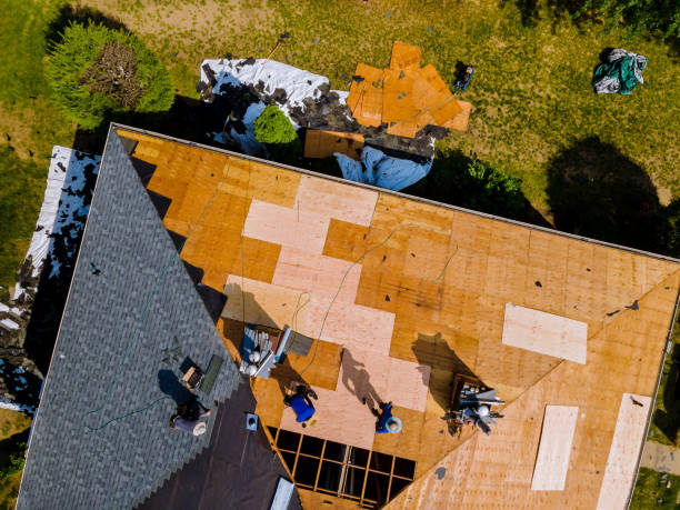 Roof Waterproofing Services in Fuller Heights, FL